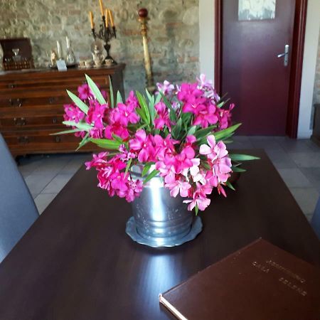 사비냐노 술 파나로 Casa Selene Rocchi 빌라 외부 사진